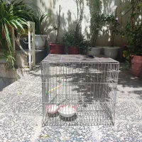انواع قفس پرنده