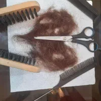 موخوره گیری موبه روش روسی تضمینی