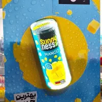 استخدام ویزیتور