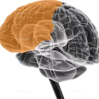 آموزش ریاضی هوش وکلیه دروس ابتدایی