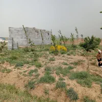 فروش باغ