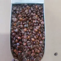 قهوه رست شده به قیمت عمده