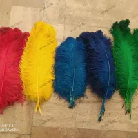 پر علم،ماشین100به بالا ،پر شما را هم رنگ می کنم