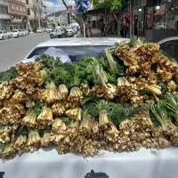 چخشور|خوردنی و آشامیدنی|ماکو, |دیوار