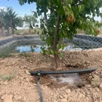 ۶۰۰باغچه اماده برای استفاده شخصی زیر قیمت کاسبی