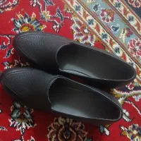 یک کفش زنانه
