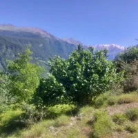 دوهزار روستای برسه