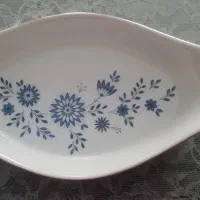 ظروف نو وکاربردی