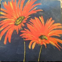 قاب کوچک فقط و فقط 250