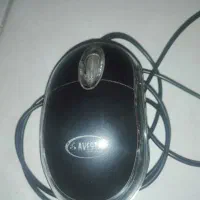 موس ودانگل