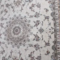 فرش|فرش|حمیدیا, |دیوار