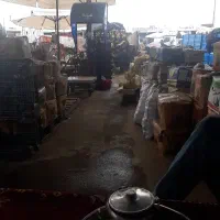 به یک نفر جوان بااستعداد برای همکاری