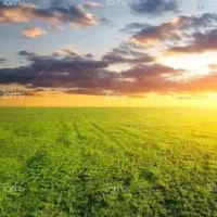 فروش زمین کشاورزی
