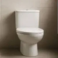 سرویس بهداشتی فرنگی سرامیک
