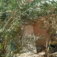 زمین انتهای کوچه دامپرور یاانتهای محله سربازی ها