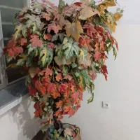 درختچه مصنوعی