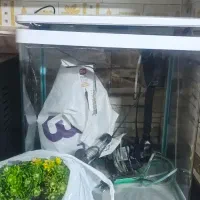 اکواریوم شیشه خم