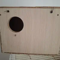 لونه|مجسمه، تندیس، ماکت|قائن, |دیوار