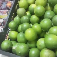 حراج میوه ۱۵۰