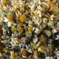 فروش گل بابونه خشک تمیز