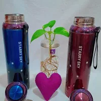 انواع ماگ و بطری