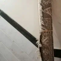 گلیم و چمدان