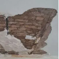 گچکاری و لکه گیری
