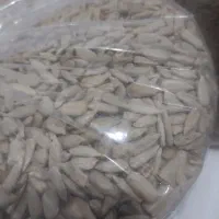 مغز تخمه و تخمه