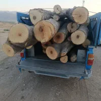 خریدفروش انوع چوب گردو،چنار،میوه،تیرچوب کهنه،بید