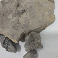 سنـگ قیمتی