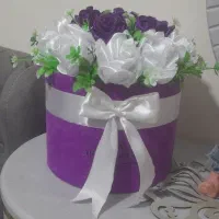 گل روبانی زیبا