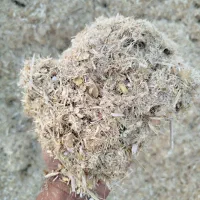 کاه نرمه گلرنگ درجه ۱