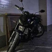 های پرو طرح z 1000 نیکتاز ۲۵۰ جفت رادیات روغن