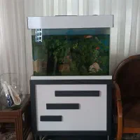 آکواریوم