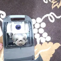 جارو برقی