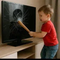 TVمحافظ صفحه  تلویزیون