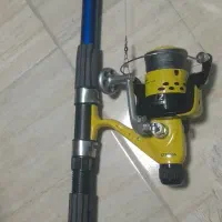 لنسر نو