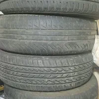 لاستیک سمندی