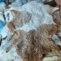پوست چرم دکوری خاص