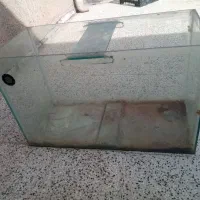 آکواریوم