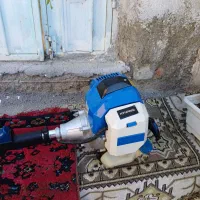 علف زن هندا در حد