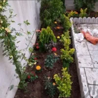 باغبانی سمپاشی، گلکاری و کود دهی در تمام نقاط