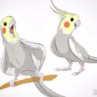 عروس ماده میخوام