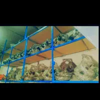 گیربکس|خدمات موتور و ماشین|مشهد, موعود|دیوار