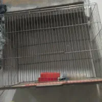 پرنده قفس