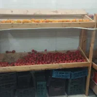 فروش استند میوه و تره بار