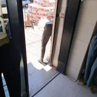 تگ و گیت دزدگیر و چوب کار و مانکن
