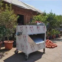 ظرفیت بالا،مناسب کارخانه،دستگاه آب‌انارگیری صنعتی