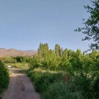 اجاره باغ ویلا