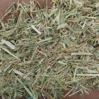 خارشتر .کاه پرس کوبیده .کمل شالی